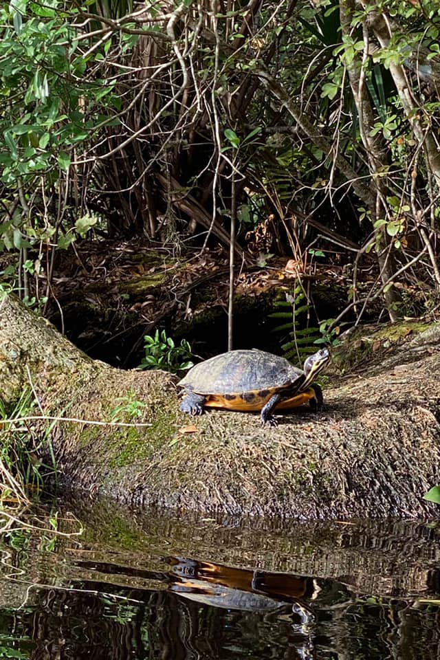 Thanksgiving Paddle on Alexander Springs