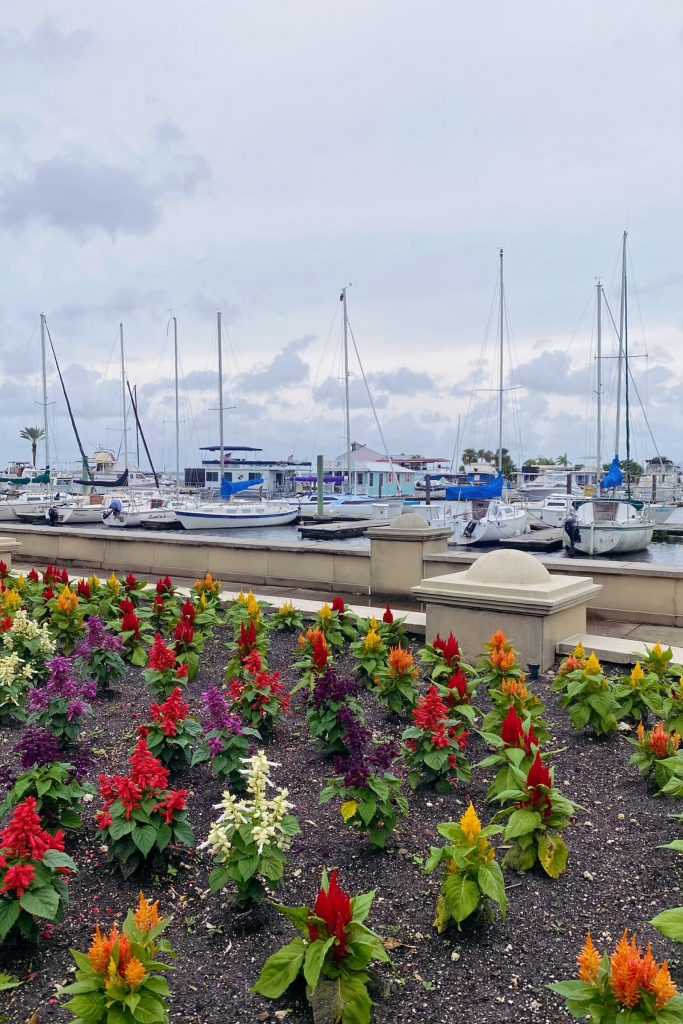 Lovely Setting for a Cozy Mystery Lovely Setting for a Cozy Mystery